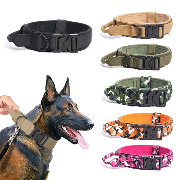 Collier Tactique pour Chien — Boucle Métal Ultra-Résistante & Poignée de Contrôle