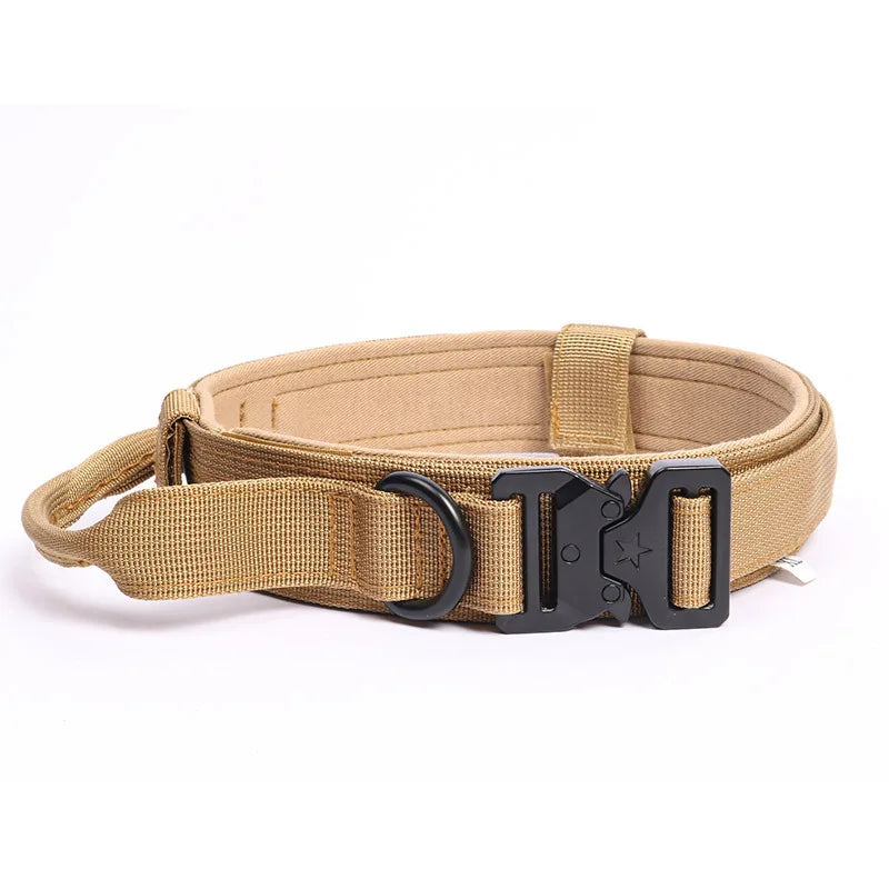 Collier Tactique pour Chien — Boucle Métal Ultra-Résistante & Poignée de Contrôle